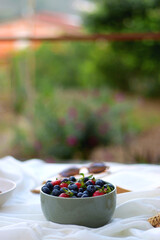 Picninc blanket with straw bag, bowl of strawberries and blueberries, bowl of chocolate chip cookies, books, sunglasses and basket of apples in the garden. Selective focus.