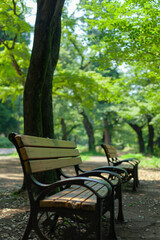 Fototapeta na wymiar 公園のベンチ、東京