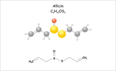 Stylized molecule model/structural formula of allicin.