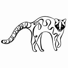 Ring tailed lemur. Madagascar cat. Black silhouette on white background. Linear drawing. Calligraphy image.