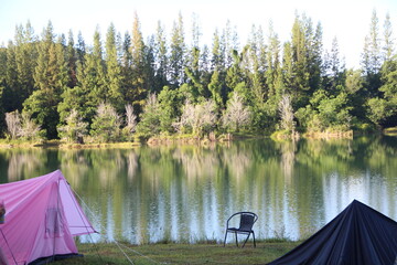 pink  and black canvas tent camping  of trees in lake