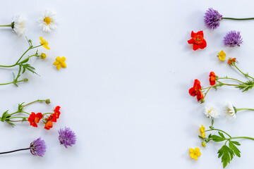 Summer floral pattern with wild meadow blooming flowers and herbs