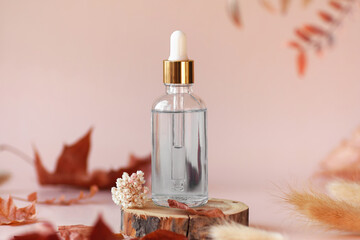 Fototapeta premium Transparent glass cosmetic dropper bottle standing on wooden disk with dry flowers and leaves on beige background. Autumn composition. Concept of natural and organic skincare products presentation