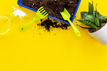 House gardening concept with gardening equipment and green plant