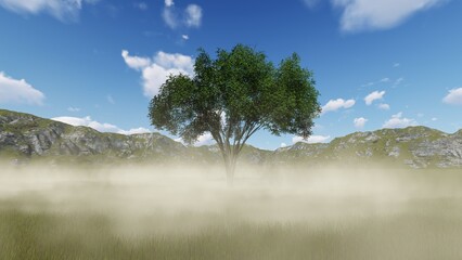 Obraz premium tree in the mountains in the fog blue sky 3d render