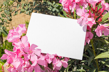 Flat card on tropical flowers outside for web background design. White isolated background. Abstract landscape background. Happy holiday. Web banner template. Natural beauty.