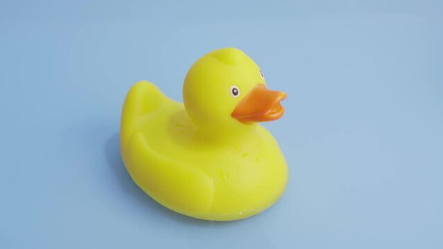 Yellow rubber duck floating on blue water background. Fun, playful concept. Real time video
