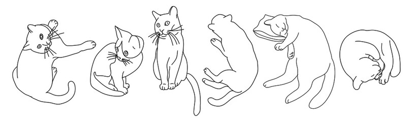 Minimalist vector set of illustrations with cats. Depiction of pets. Line drawings with animals. Line Art.