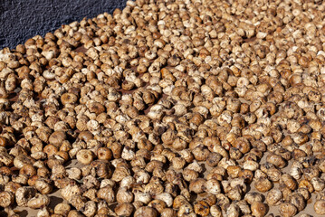 Harvest of dried figs drying in the sun