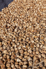 Harvest of dried figs drying in the sun
