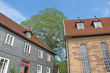Kirche und Ulme