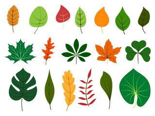 Leaves icons set. Flat multicolored vector botanical elements. Beautiful isolated greens leaf. Floral object for frame, border, ornament divider. Great for greeting card. Colorful eco collection.