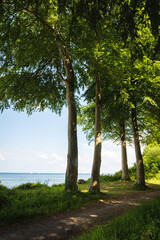  Path at the seashore, Baltic sea