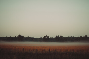 field with mist clouds on the ground in dawn