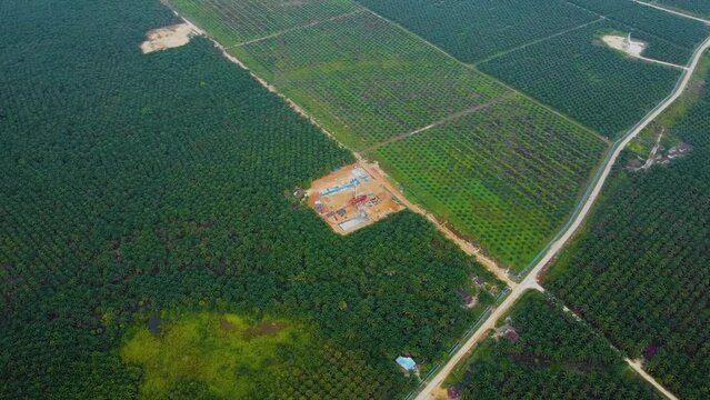 Cinematic Drone Shot of Onshore Drilling and Workover Rig structure and Rig equipment for oil exploration and exploitation in the middle of jungle surrounded by palm oil trees during sunset time.