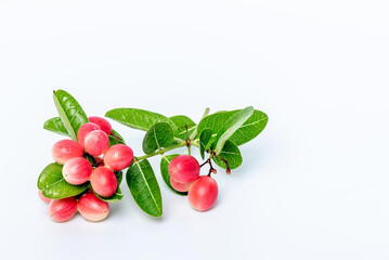 Close up images of Carunda or Karanda fruit, It is a red fruit, the size of a berry. It is used as a condiment in pickles with Indian spices. On white background, to red fruit concept.