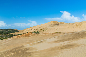 Fototapeta na wymiar ニュージーランド　ケープ・レインガの近郊にあるテパキ大砂丘