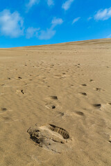 ニュージーランド　ケープ・レインガの近郊にあるテパキ大砂丘の砂の上に残った足跡