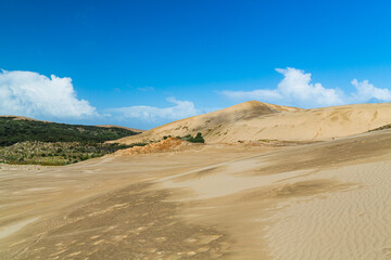 ニュージーランド　ケープ・レインガの近郊にあるテパキ大砂丘