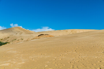 ニュージーランド　ケープ・レインガの近郊にあるテパキ大砂丘