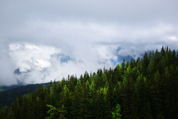 Berglandschaft im Sommer mit dramatischer Wolkenstimmung und Mischwald im montanen Forst