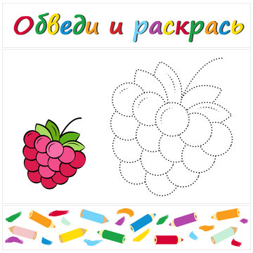 Raspberry. Task name "Trace and Color" in Russian. A page of a coloring book with a colorful fruit. Repair the dotted line. Educational game. Cartoon style. Vector illustration for children, eps