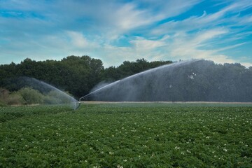 Bewässerung trockener Felder