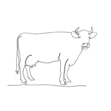 Cow stand on continuous line art drawing style, the cow sketch black linear isolated on white background, best cow vector illustration. 