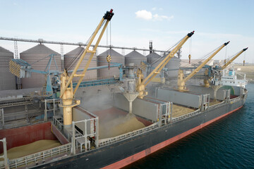 Loading grain into holds of sea cargo vessel through an automatic line in seaport from silos of grain storage. Bunkering of dry cargo ship with grain - 514193111