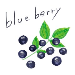 ブルーベリー