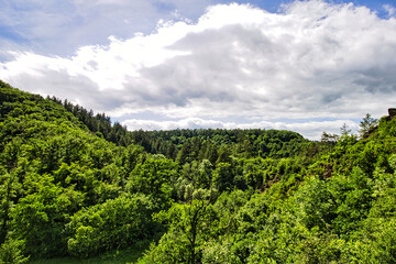 Fototapeta na wymiar Waldlandschaft