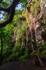 ニュージーランド　ノースランド地方のケリケリにあるレインボーフォールズ脇の崖