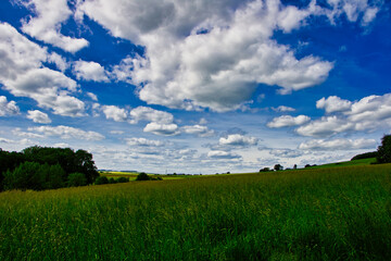 Obraz premium Grüne Feld Landschaft im Sommer