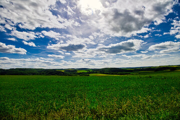 Grüne Feld Landschaft im Sommer