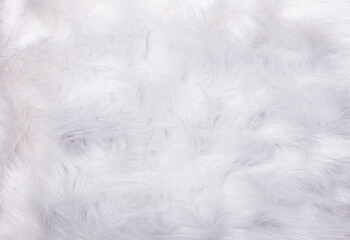 Texture of white fur, close-up. Ideal as a background