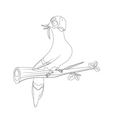 Tropical parrot on a branch. children’s drawing for coloring. Sketch