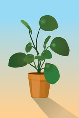 A vector illustration of a Chinese money plant in a terracotta orange flowerpot. The background is a blue beige gradient. 