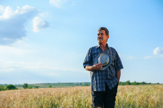 senior male brazilian farmer takes his hat off. the portrait of an elderly man working in the head summer day, agronomist farmer