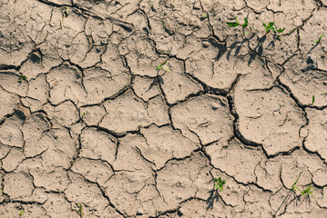 Susza, efekt globalnego ocieplenia, popękana ziemia, sucha gleba