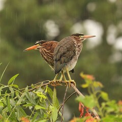 Back to Back Against The World!