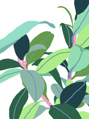 Minimalist vector illustration of ficus plant. Ficus blue and green leaves with blue stem. Woody tree. Nature. Summer vibes.