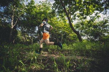 Naklejka na ściany i meble Trail runner running in summer forest trail.