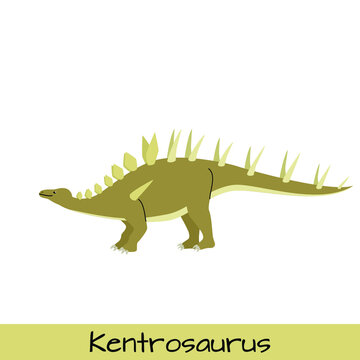 Kentrosaurus dinosaur vector illustration isolated on white background.