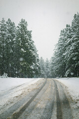 Camino en el bosque con nevada invernal pueblo de montaña