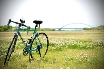 Fototapeta na wymiar bicycle in the field