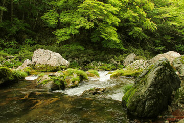 愛媛県内子町　小田深山渓谷の風景
