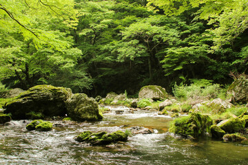 愛媛県内子町　小田深山渓谷の風景
