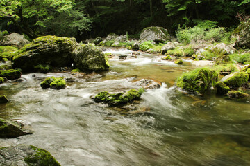 愛媛県内子町　小田深山渓谷の風景
