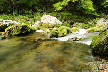 愛媛県内子町　小田深山渓谷の風景
