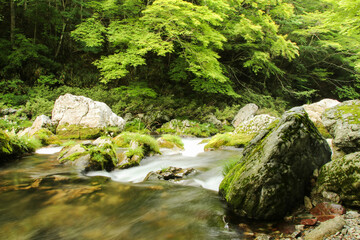 愛媛県内子町　小田深山渓谷の風景

